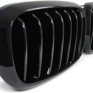 Grill Bmw X6 X5 F15 F16 Blank Matt njurar (Singel ribb) (Välj en produktvariant: Blanksvart)