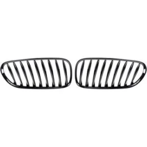 Grill Bmw z4 e89 Njurar 03-09 (Välj en produktvariant: Blanksvart)