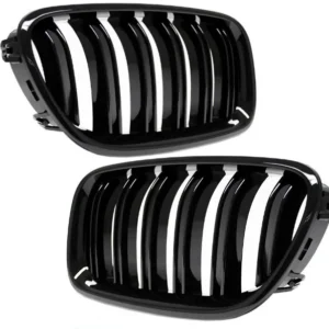 Njurar grill BMW F10 F11 M5-design (Dubbelribb)