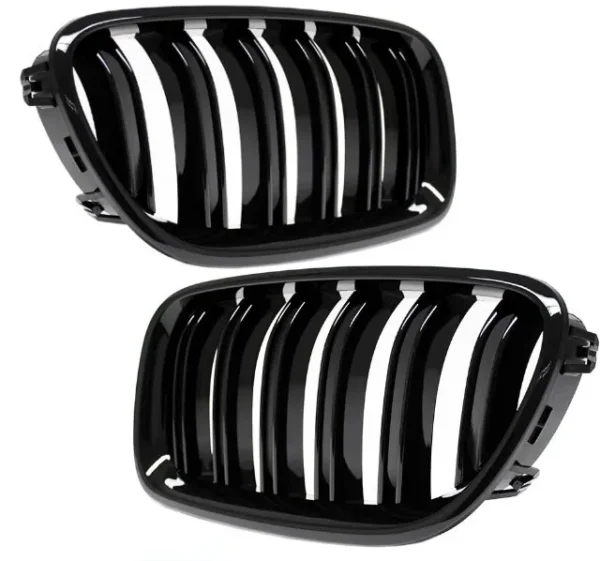 Njurar grill BMW F10 F11 M5-design (Dubbelribb)