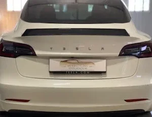 Vinge Tesla Model 3 Sport (Välj en produktvariant: Lackerad i bilens färgkod)