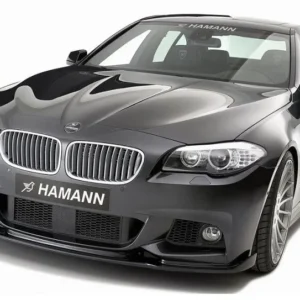 Bmw Hamann F10 läpp F11 (Välj en produktvariant: Lackerad i bilens färgkod)